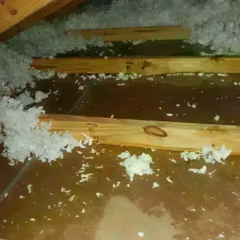 Attic Water Damage in Electric City, WA