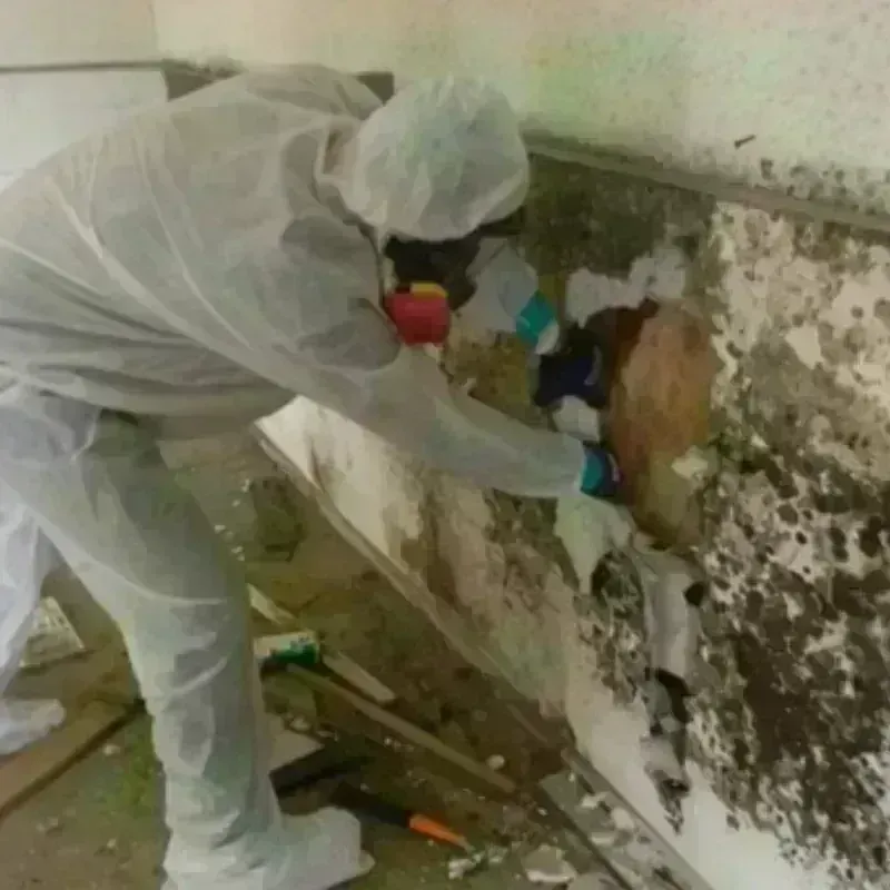 Best Mold Remediation and Removal Service in Electric City, WA