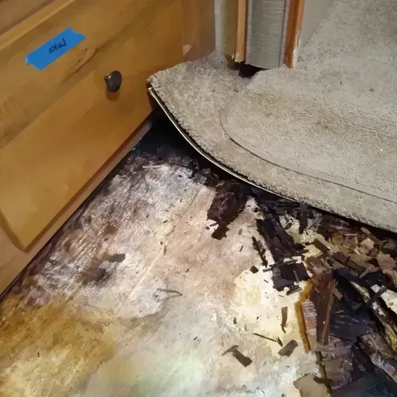 Wood Floor Water Damage in Electric City, WA